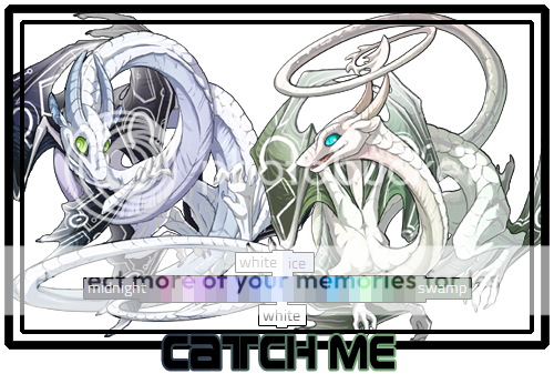 CatchMe.png