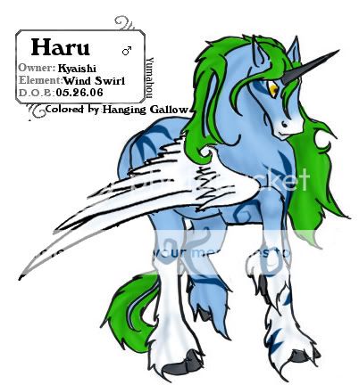 User Image