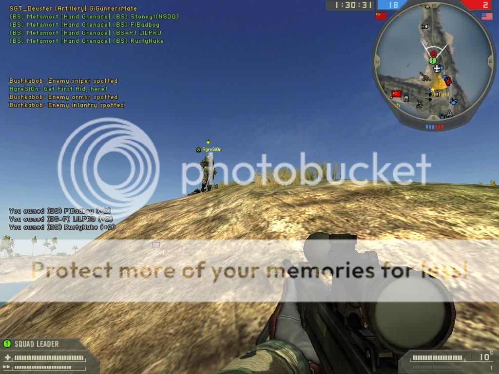 https://img.photobucket.com/albums/v137/Fergis/Metamort/Battlefield%202/screen011.jpg