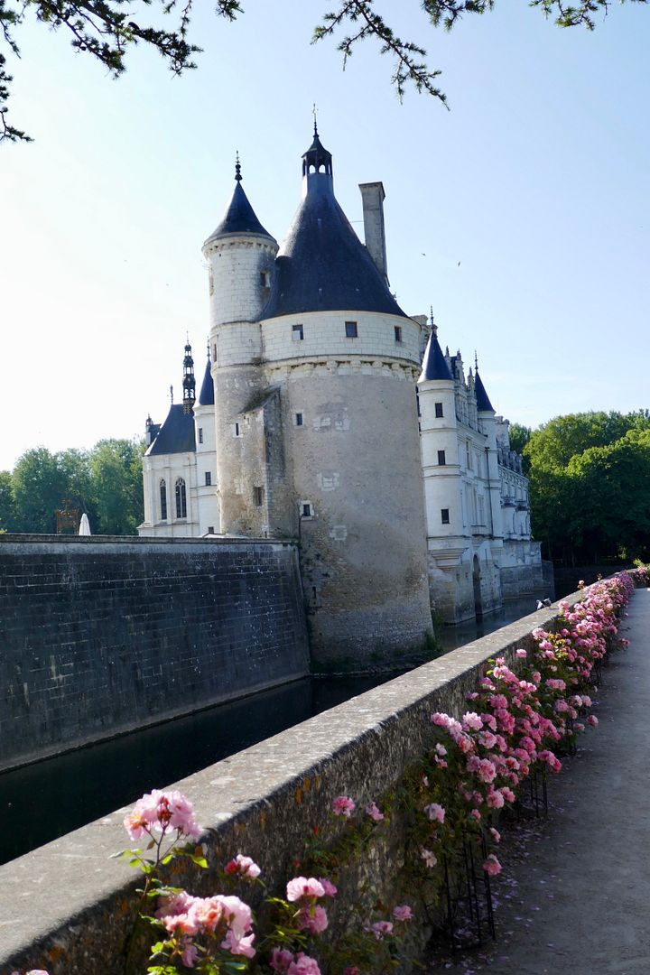 Chenonceau und Rosen photo 25AB78B4-9EE7-408A-86AE-1451E7A4E267_zpsir40s7wl.jpeg