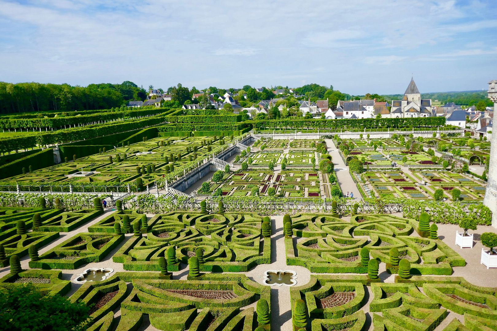 Arten der Liebe photo 25D5E0FE-434E-47F3-B4B3-5241FB2AF4D2_zpsvzmczgy8.jpeg