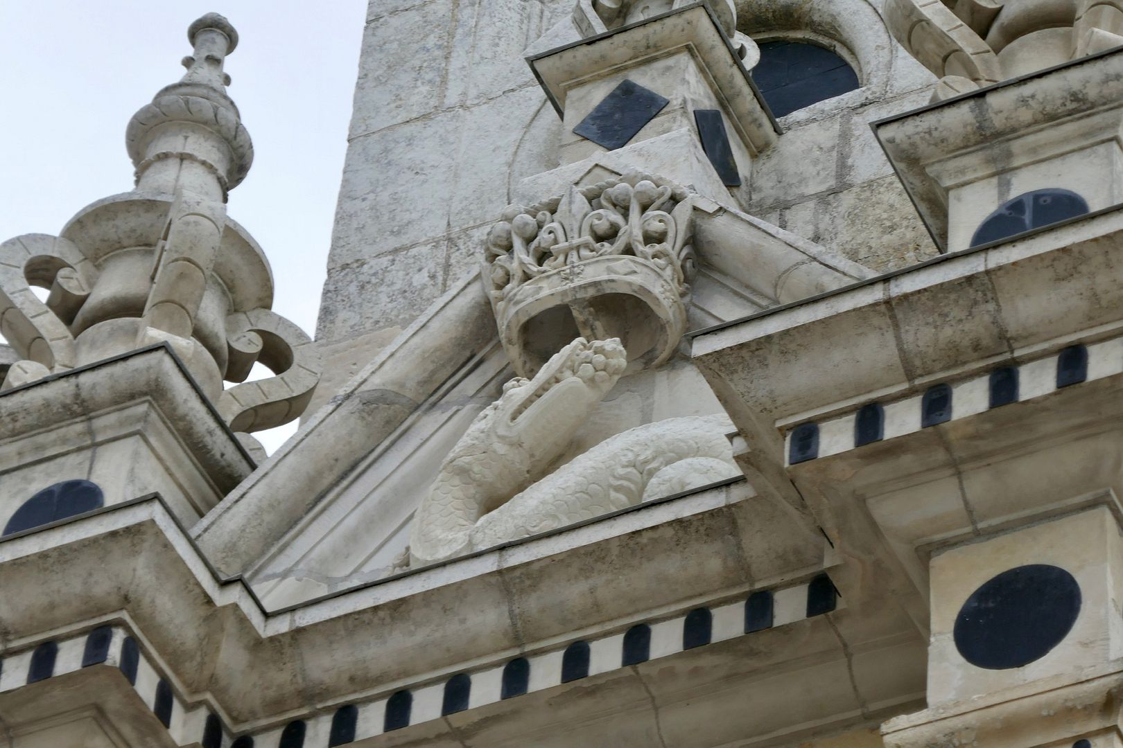 Salamander photo 6C342F3C-7D8F-4029-ACB8-D940CAADF8A6_zpsq4bv4plj.jpeg