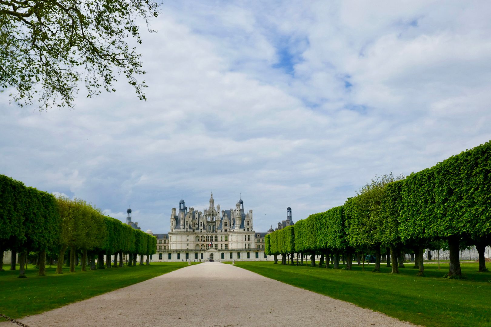 Chambord und Allee photo 86C9ECAA-CBF0-4EB0-8DF1-6460CF421DC8_zps75ibwbns.jpeg