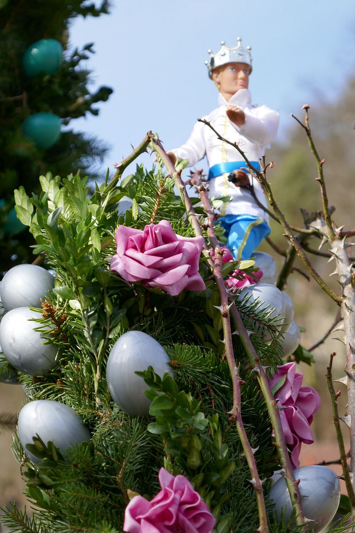 Dornröschen - Closeup photo 2018_0330Ostern0061_zpszakr9k0u.jpg