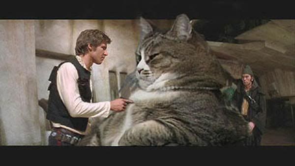 https://img.photobucket.com/albums/v139/SithJada/Funny%20Pics/jabbathecat.jpg