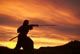 The Last Samurai