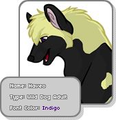 User Image