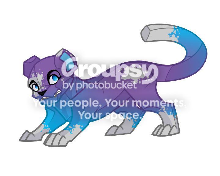 User Image