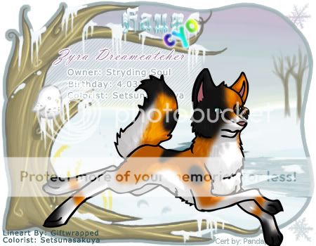 User Image