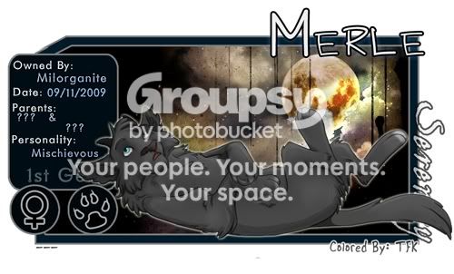 User Image