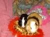 Sasha's 'Skunky and Pretzel' - POTM March thru May 2007