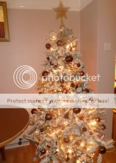 Christmas Trees 001
