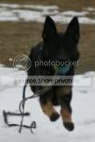 Photo Sharing and Video Hosting at Photobucket