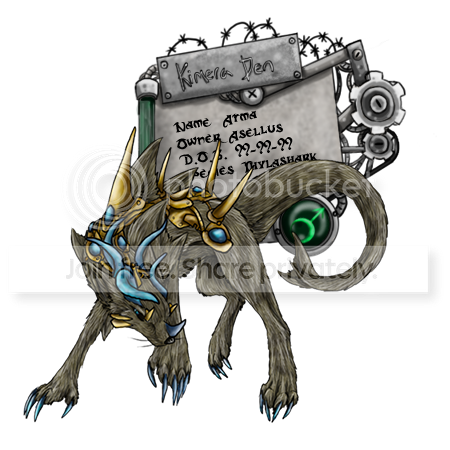 User Image