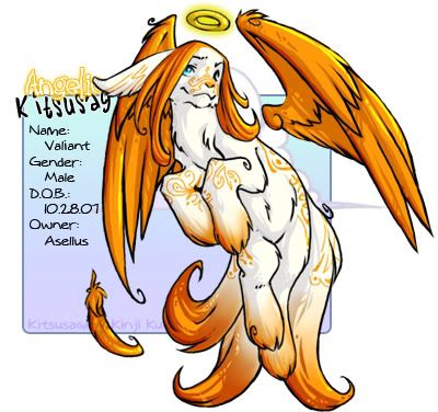 User Image