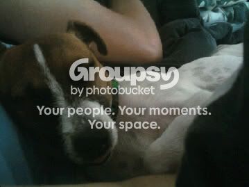 Bayla sleeping