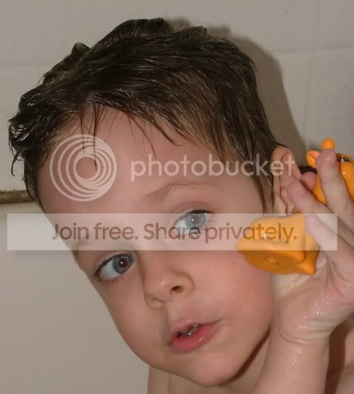 Image hosted by Photobucket.com