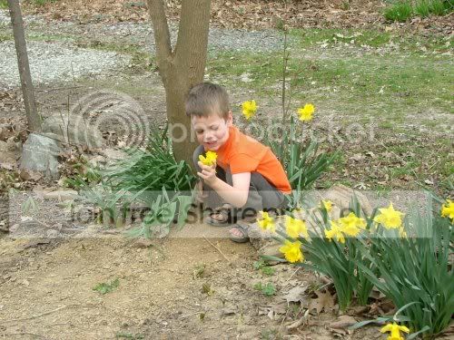 Image hosted by Photobucket.com