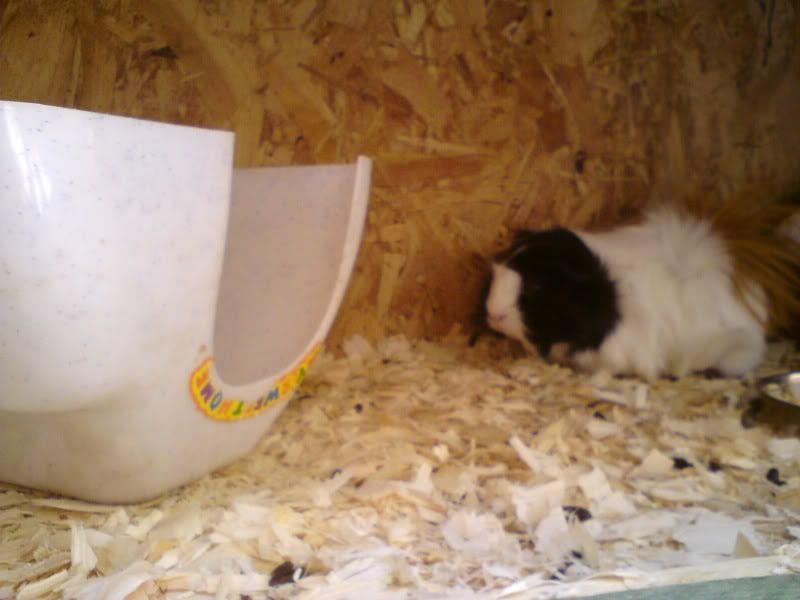 DSC01177.jpg