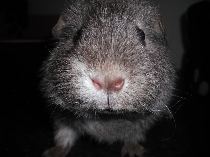 DSCF3078.jpg