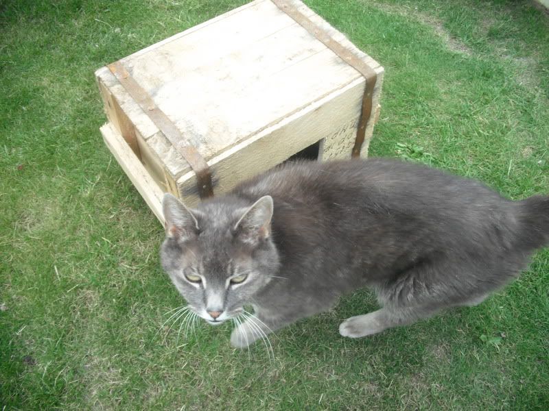 DSCF3096.jpg