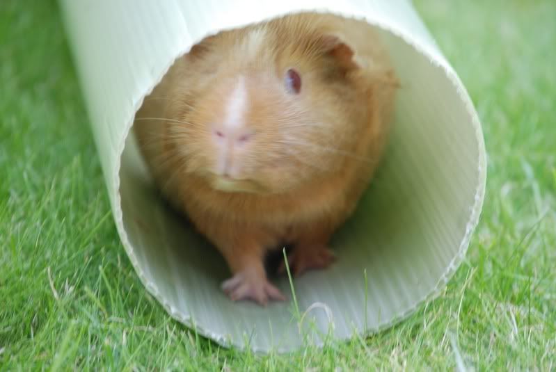 DSC_0317.jpg