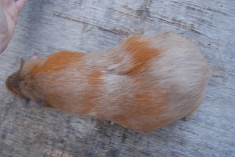 DSC_0437.jpg