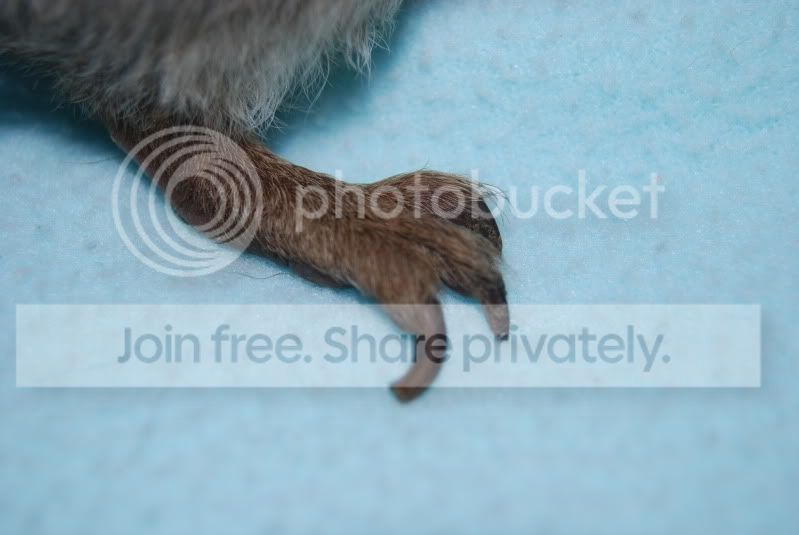 DSC_1249.jpg