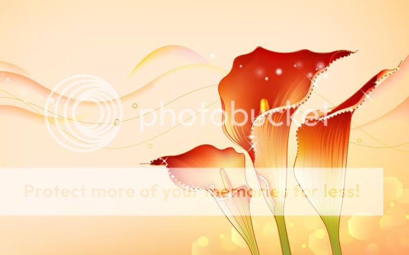 Graphic Background XCHW_8019