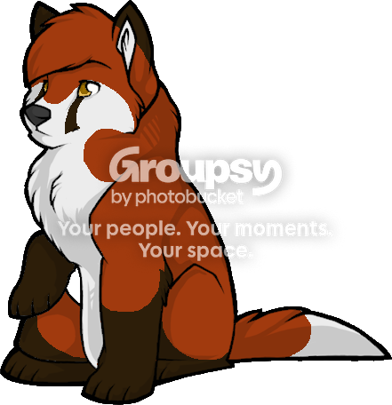 User Image