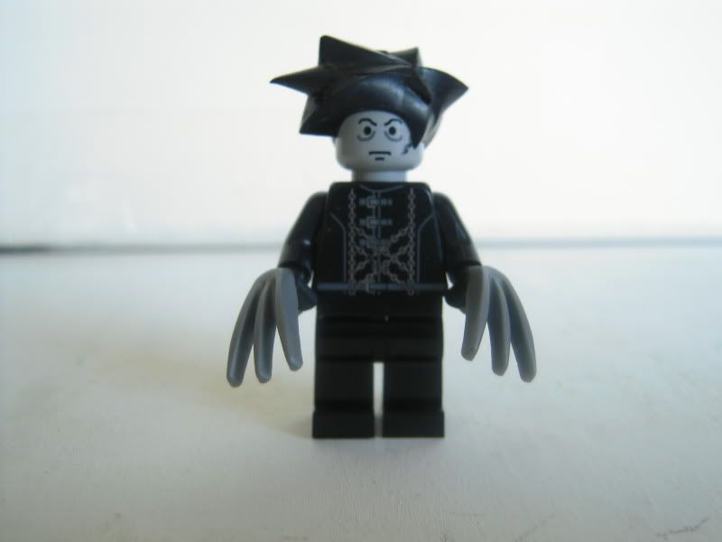 Edward Custom LEGO© DSCN2113
