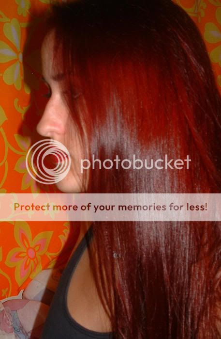 Photo Sharing and Video Hosting at Photobucket