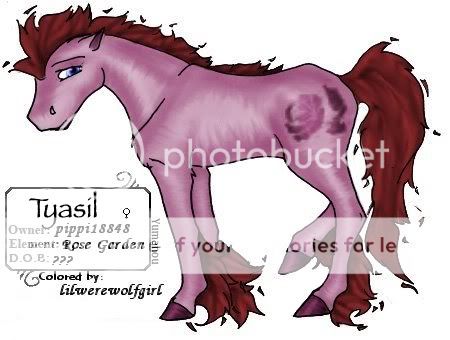 User Image