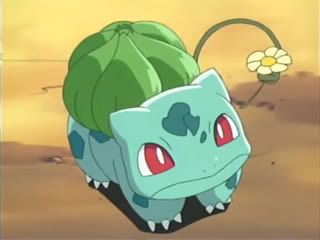 [PokeCommunity.com] The Grass pokemon Club! (finally!)