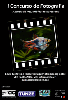 Concurso en el Barcelona Aquarium Meeting ConcursFoto