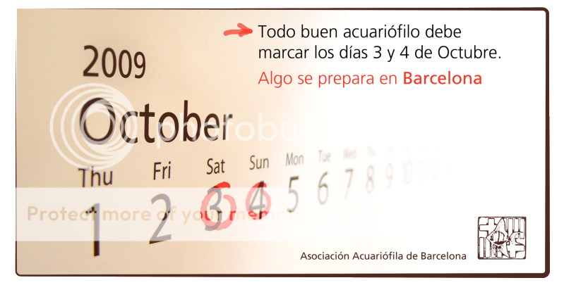 Algo se prepara en Barcelona.... Calendariosizoocopia