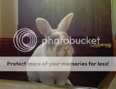 past bunnies- add your pics Grovie