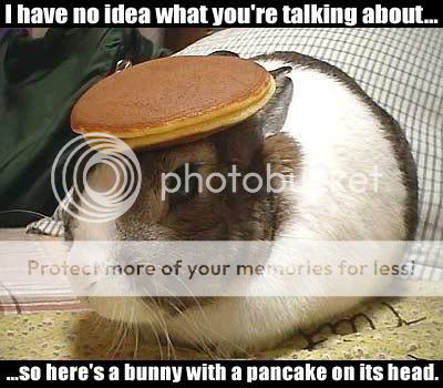 So do you still look like Franny? - Page 2 Pancake_bunny_1