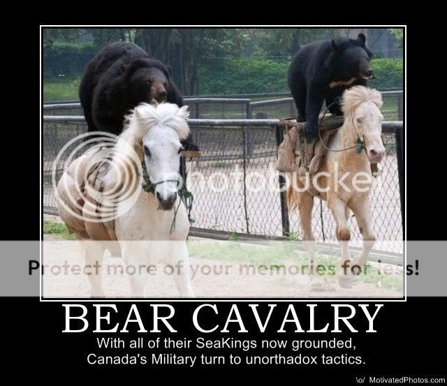 Introductory Thread - Page 5 633504767147376904-bear-cavalry