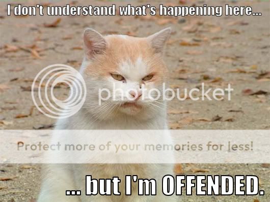 demotivators :D Offended_trollcat1