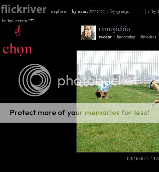 Flickriver - Module Flickr (album hình ảnh) cho Plus P2