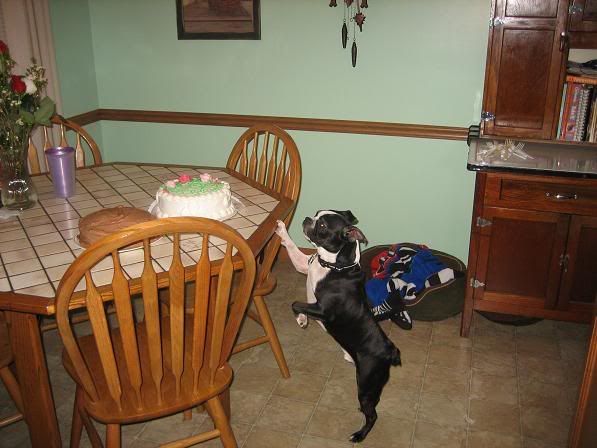 IMG_1595.jpg picture by Kippy3571
