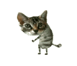 photo CAWHQ7CD.gif