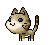 photo kittypoopYAY.gif