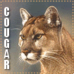Big Cat Blinkies Cougar-lg777