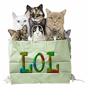 Animals: Bag of Cats 002_LO15_zpse830622f