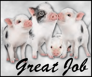 Animals: Cute Pigs 4lilpiggies_greatjob_zpsc068af4c