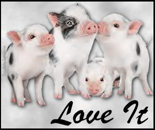 Animals: Cute Pigs 4lilpiggies_loveit_zpsc26f00c4