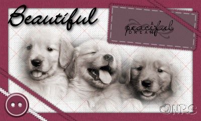 Animals: Dogs Beautiful_Dream_NRS_zps7cc3c533