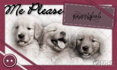 Animals: Dogs MePlease_Dream_NRS_zps9f73e756